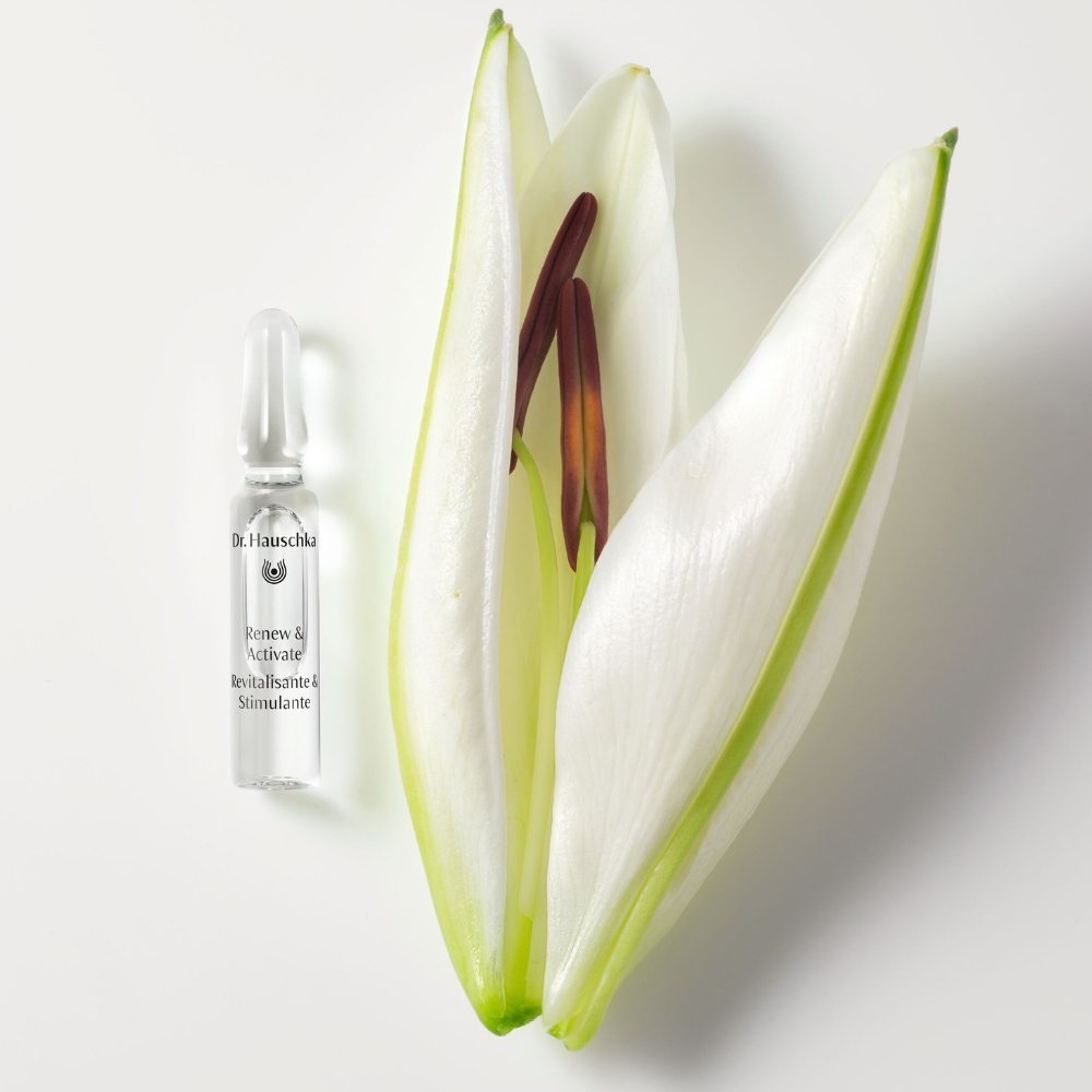 Dr. Hauschka - Renew And Activate Ampoules 28 Fiale Da 2 ml - Trattamento Rigenerante Viso