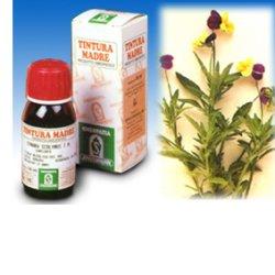 Specchiasol Viola Del Pensiero 32 Tintura Madre 50 ml