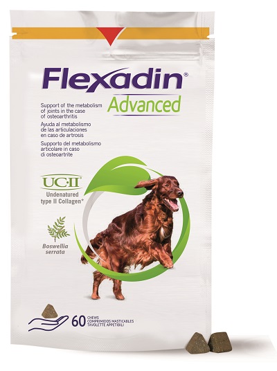 FLEXADIN ADVANCED 60TAV MASTIC