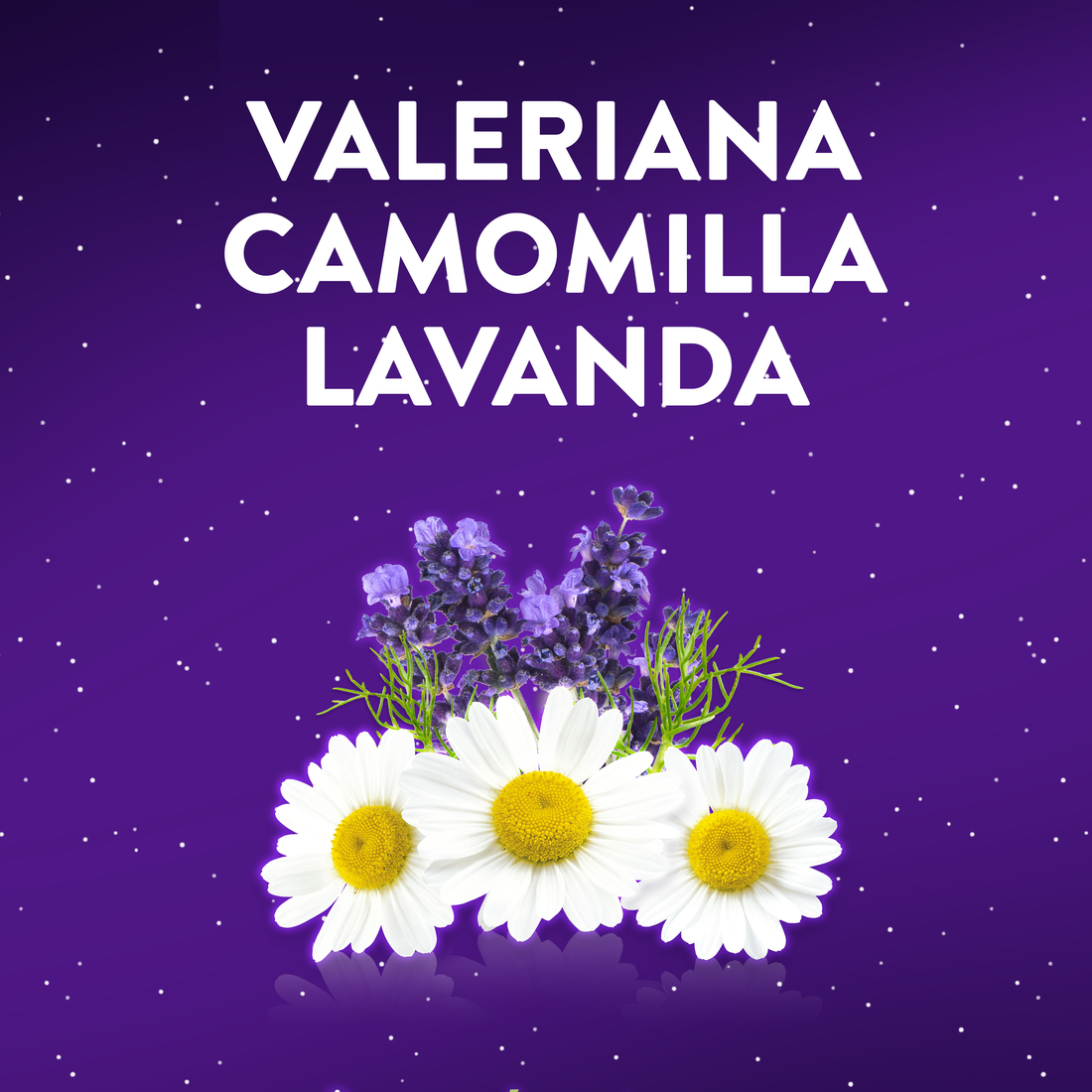 Integratore per il sonno ZzzQuil NATURA gusto MANGO & BANANA: 60 pastiglie gommose a base di melatonina con camomilla, valeriana e lavanda.