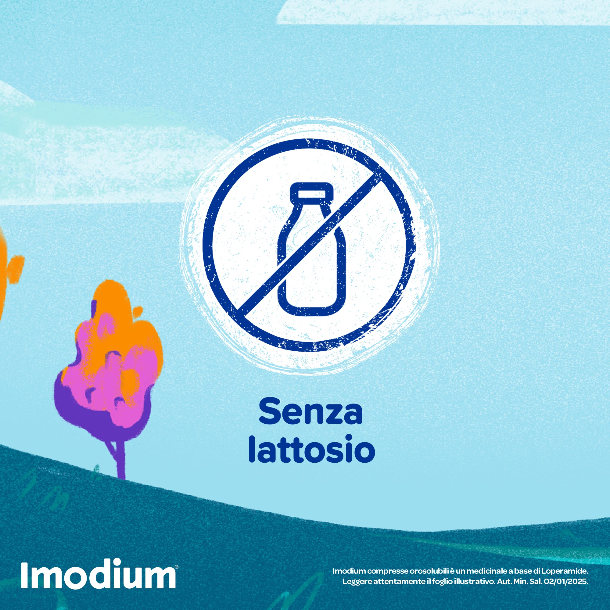 Imodium Diarrea Acuta 12 Compresse Orosolubili