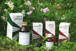 Raemil Elicriso Olio 25 ml