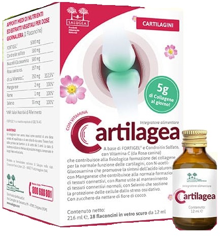 SALUGEA Cartilagea 18Fl.
