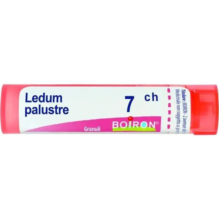 LEDUM PALUSTRE BOI*7CH GL 1G