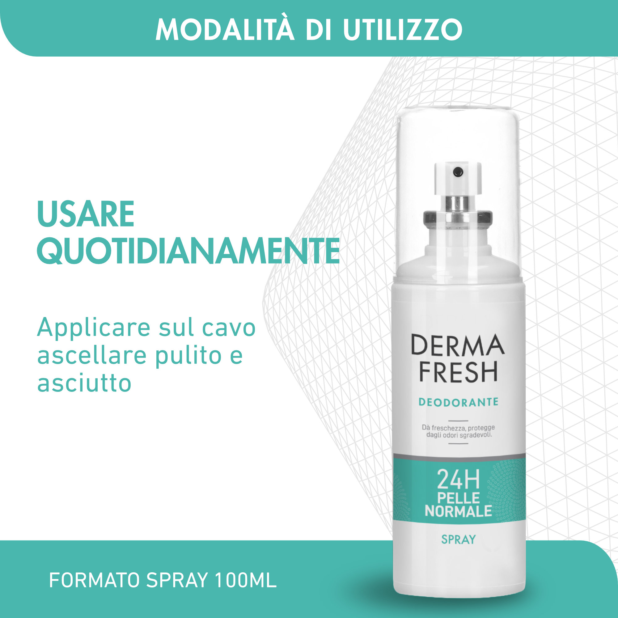 DERMAFRESH 24H P/NORM SPR100ML