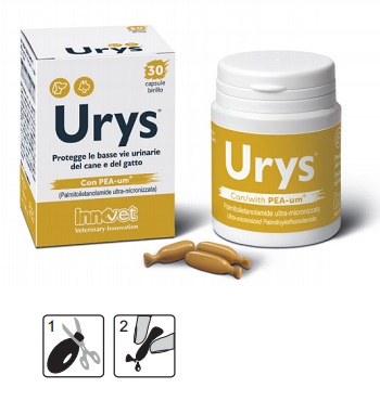 Innovet Urys Integratore Vie Urinarie Cane e Gatto 30 Capsule Birillo