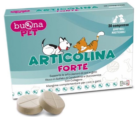 ARTICOLINA Forte 30 Cpr