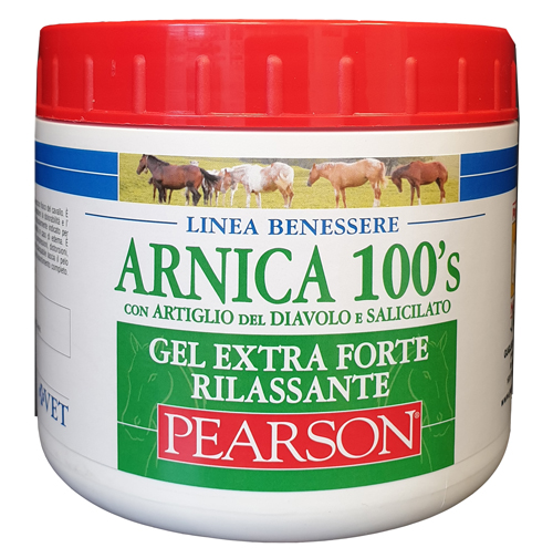 ARNICA 100'S GEL EX FT RILA500