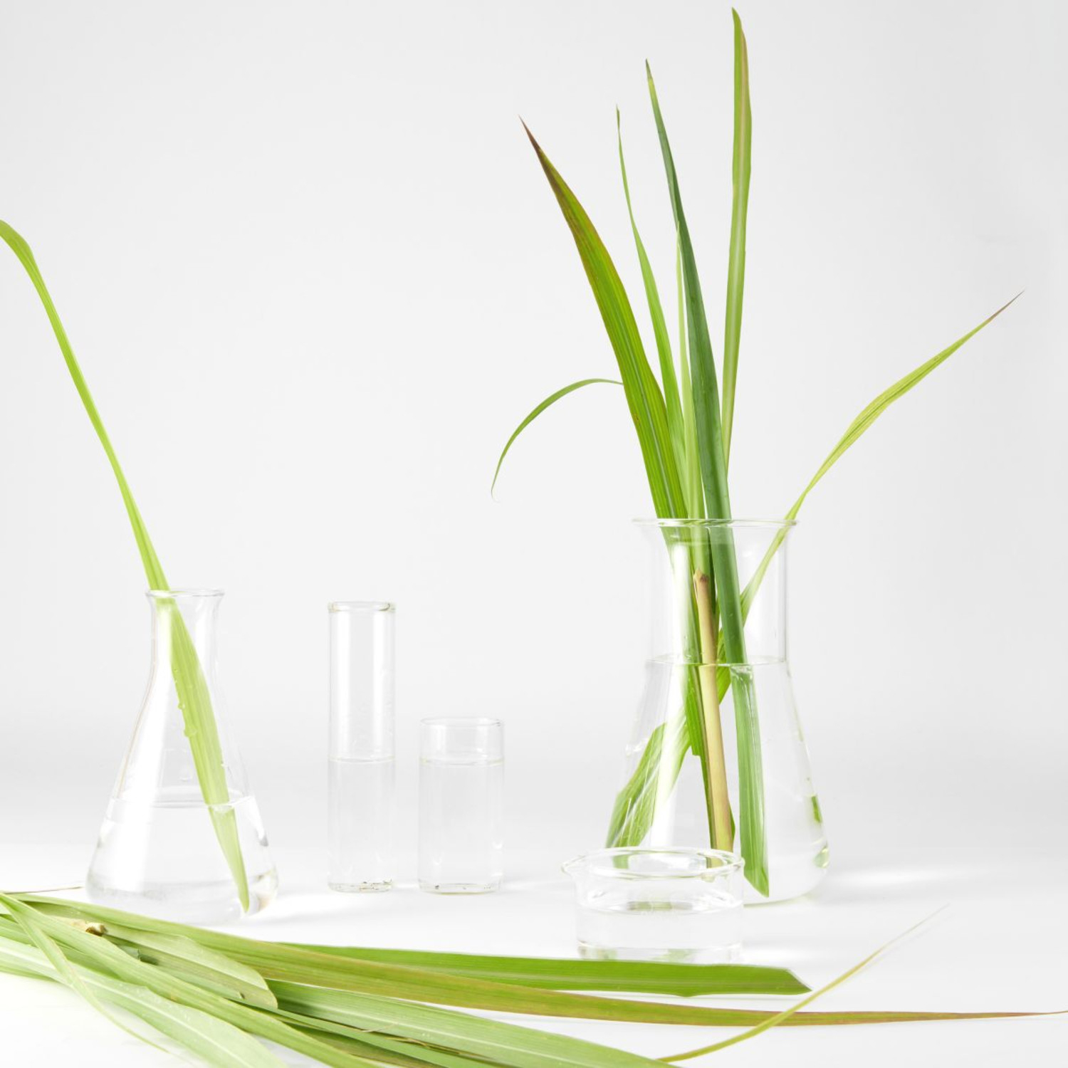 GEL DET BIO LEMONGR 150ML