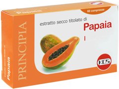 PAPAIA ESTR SEC 60CPR 24G
