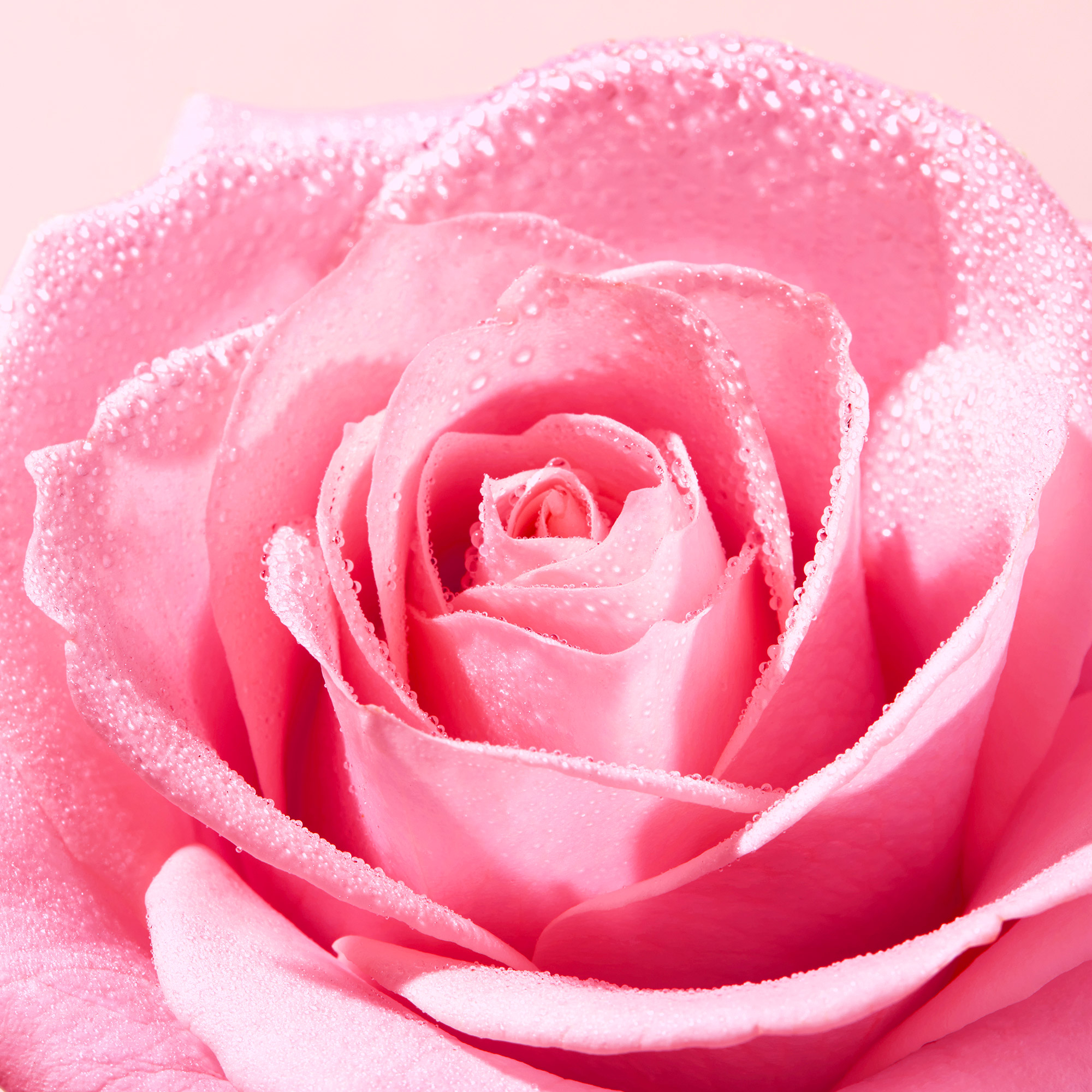 Nuxe - Very Rose - Olio Struccante 150 ml