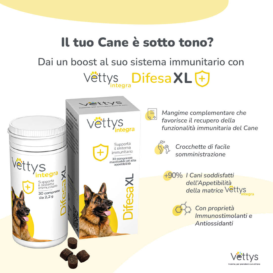 VETTYS Integra Difesa XL Cane
