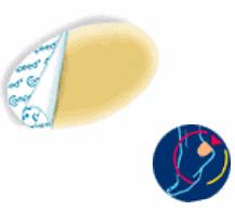 Compeed Vesciche Piedi 5 Cerotti Medi