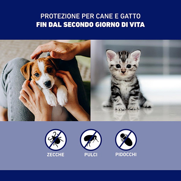 Frontline Spray 250ml, Protegge Cani, Gatti e Cuccioli dal Secondo Giorno di Vita Da Pulci, Zecche E Pidocchi