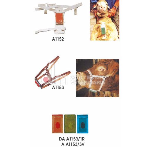 BLOCCO COLORANTE MONTA OVINI COLORE VERDE CAD. (REF. A1153/3V) - RAIDEX