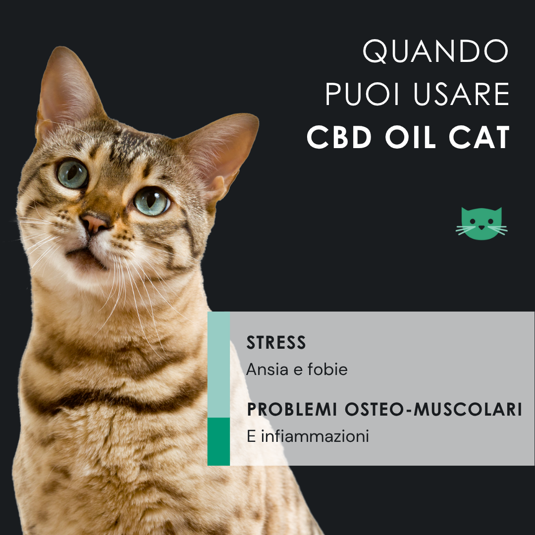 Eusphera CBD Oil Cat - Olio Calmante Naturale Per Gatti 10 ml
