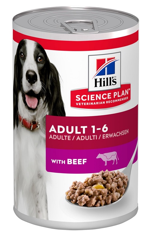 CANINE ADULT BEEF 370G