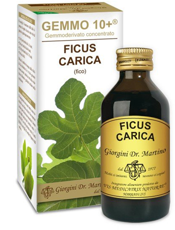 Dr. Giorgini Gemmo 10+ Fico Analcoolico 100 ml