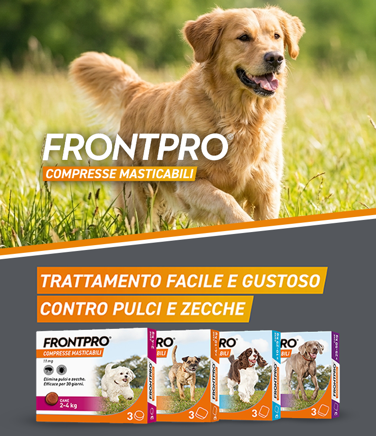 Hero desk frontpro mar26