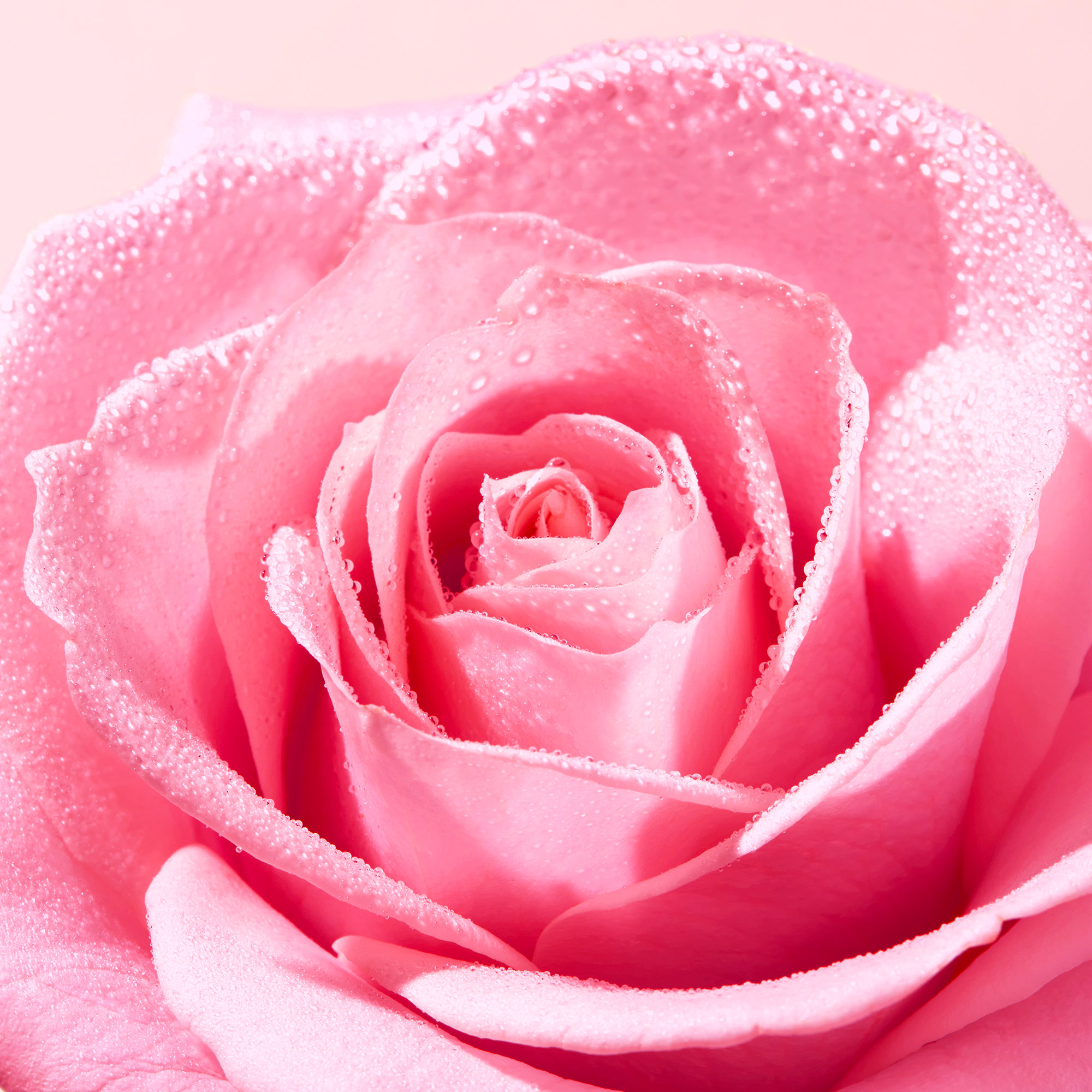 Nuxe - Very Rose - Acqua Micellare Lenitiva 200 ml