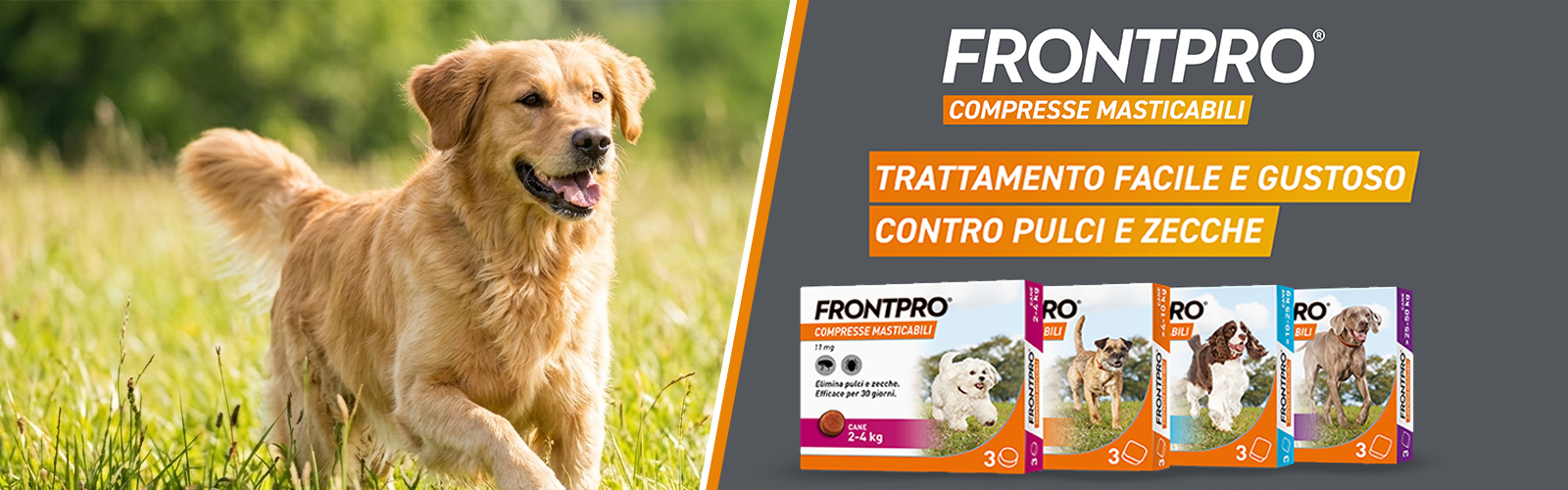 Hero desk frontpro mar26