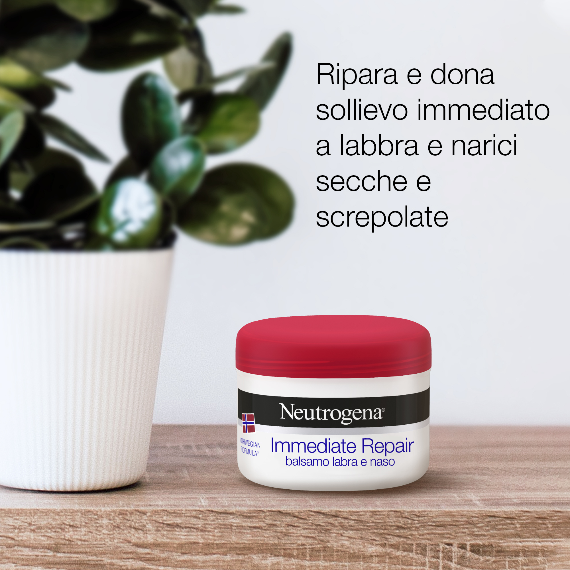 Neutrogena, Balsamo Labbra e Naso Riparazione Immediata, Formula Norvegese, 15ml