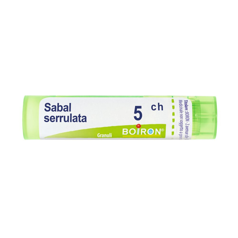 SABAL SERRULATA 5CH GR