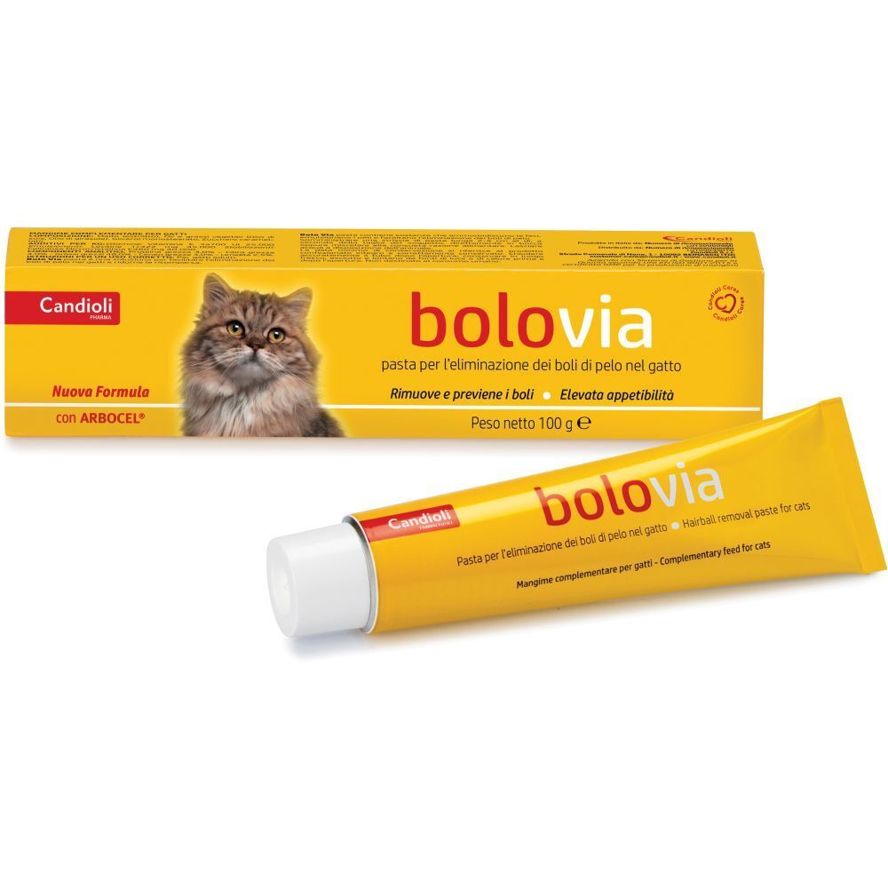 BOLO VIA PASTA GATTI 100G