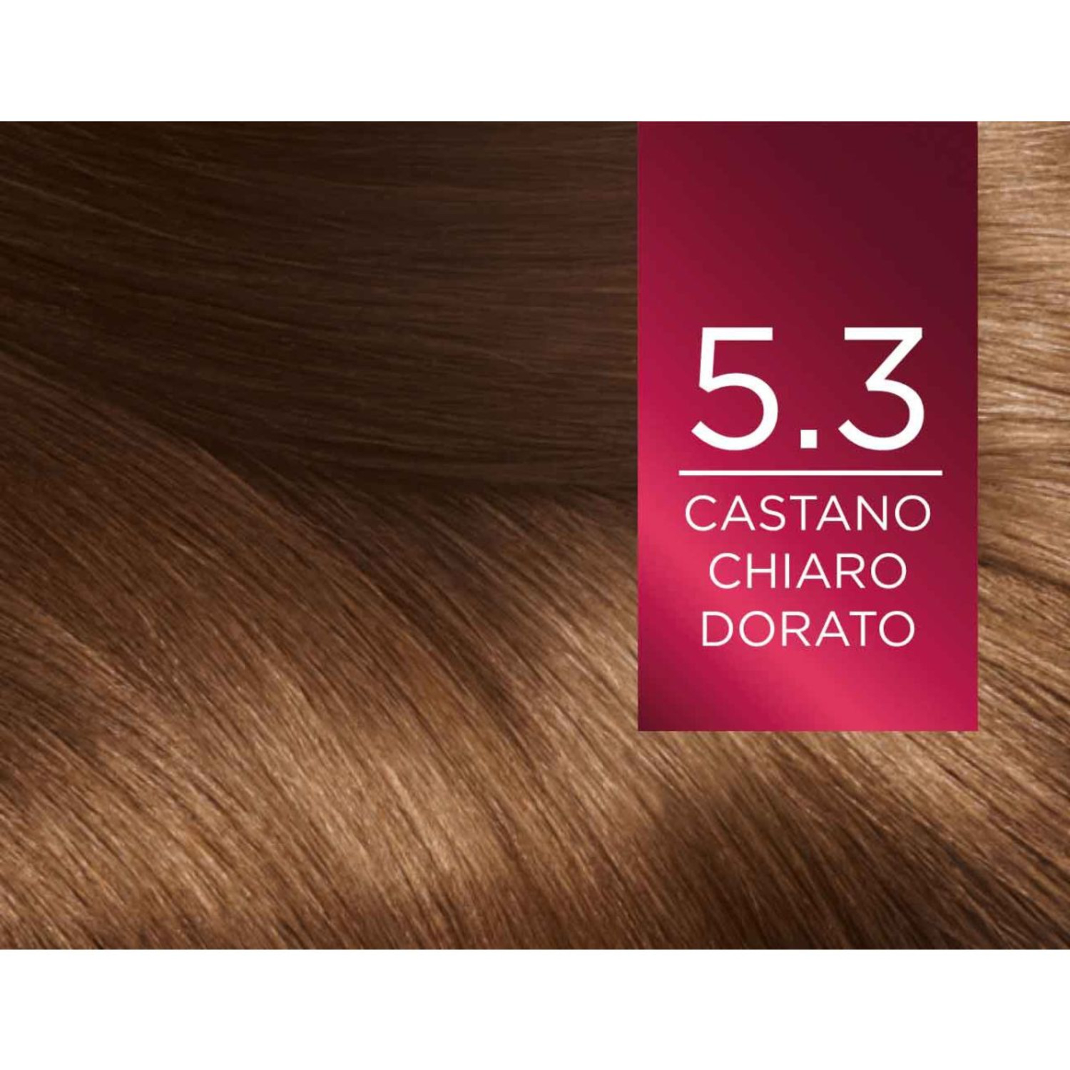 L'Oréal Paris Colorazione Triplo Trattamento Excellence, Con Acido Ialuronico, 100% Copertura Capelli Bianchi, Per Capelli Più Idratati, Castano Chiaro Dorato (5.3)