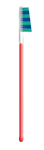 TAUMARIN-SPAZZ SCAL 33 M/MORB