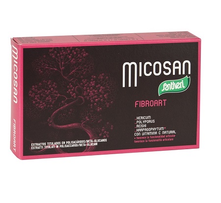 Micosan Fibroart funzionalit