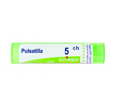 PULSATILLA*5CH 80GR 4G BO