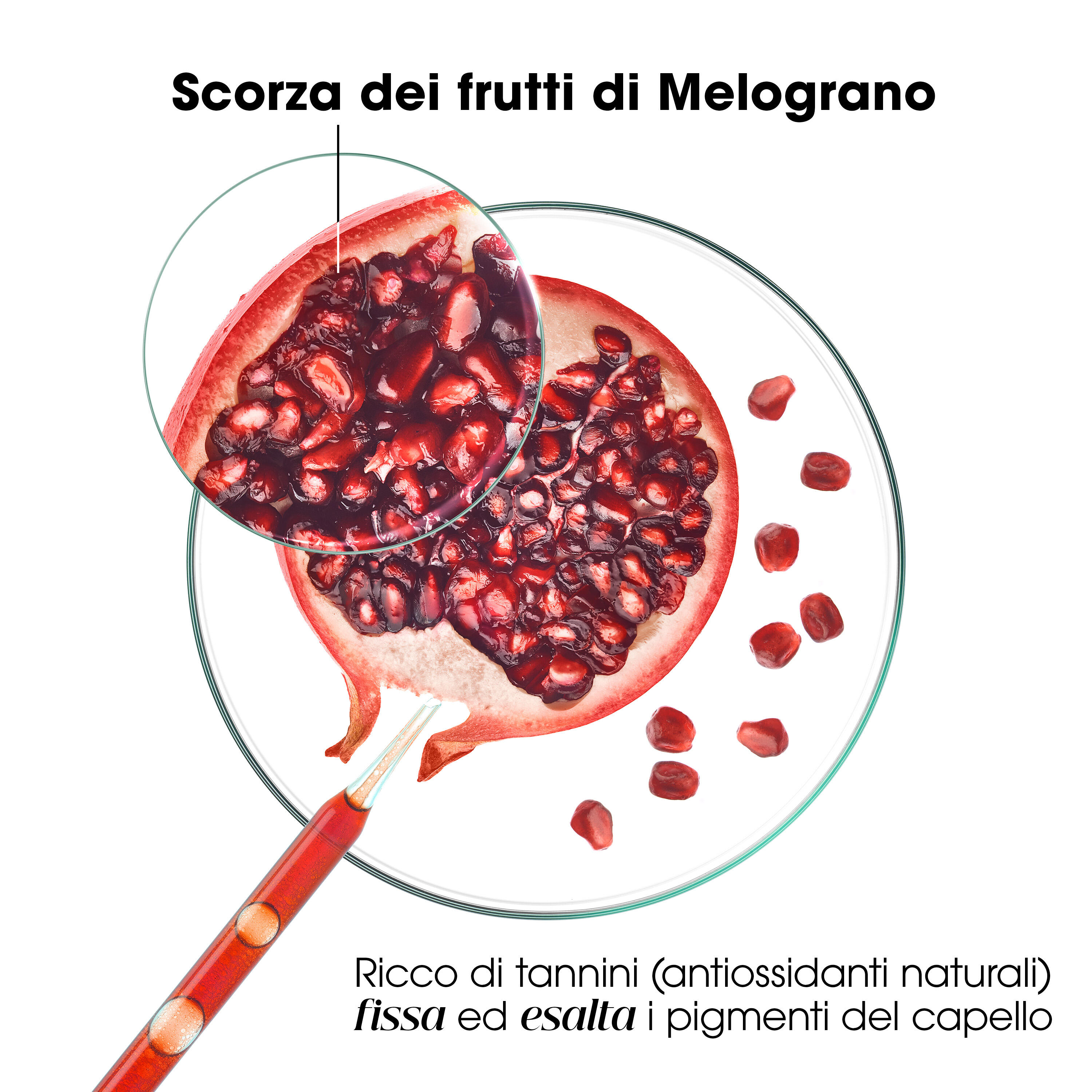 Klorane - Shampoo Al Melograno Per Capelli Colorati 400 ml
