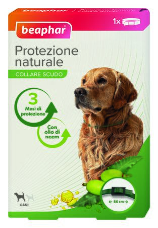 PROTEZIONE NAT COLLARE CANE GR