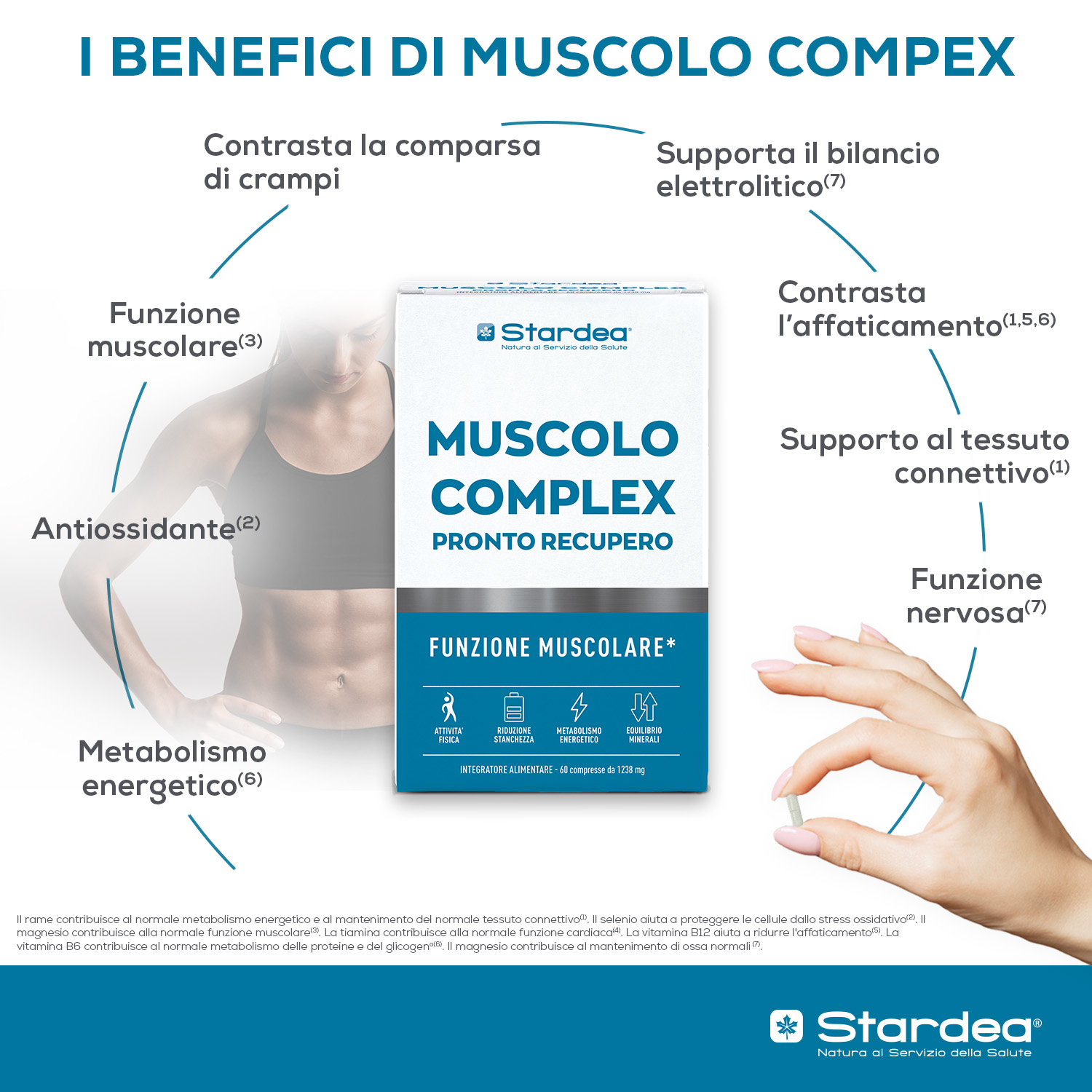 STARDEA MUSCOLO COMPLEX PRONTO RECUPERO Compresse - integratore alimentare a base di Potassio, Magnesio, Rame e Selenio con Vitamine B6, B1 e B12.