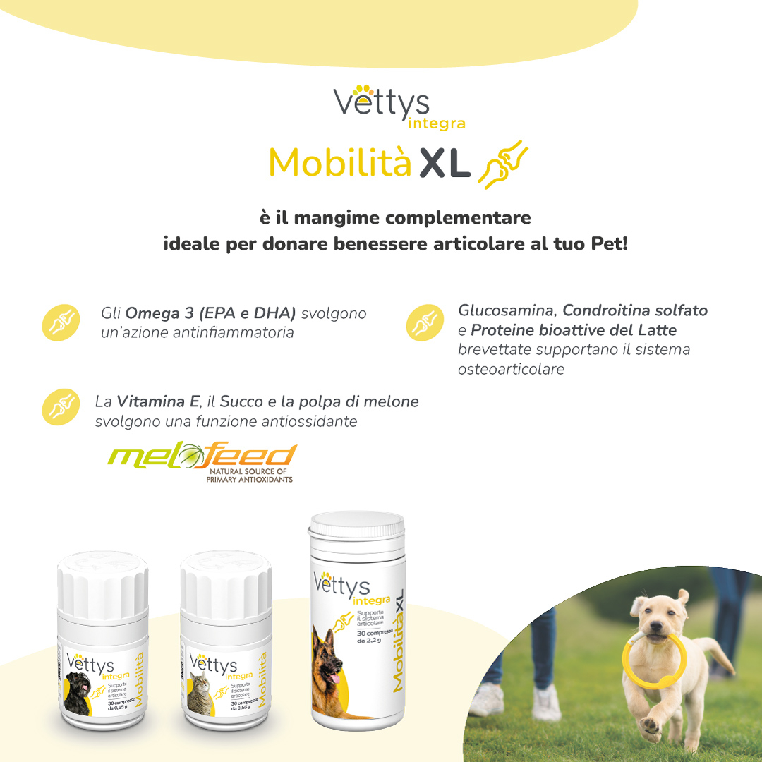 VETTYS Integra Mobilita'XL 