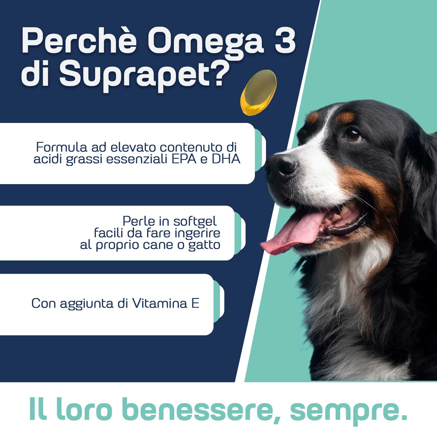 Suprapet omega 3 80prl