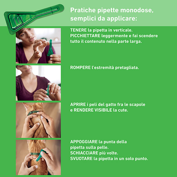 Frontline Combo Gatti x3 Pipette, Antiparassitario per Gatti, Gattini e Furetti, Contro Pulci, Zecche, Uova, Larve e Pidocchi