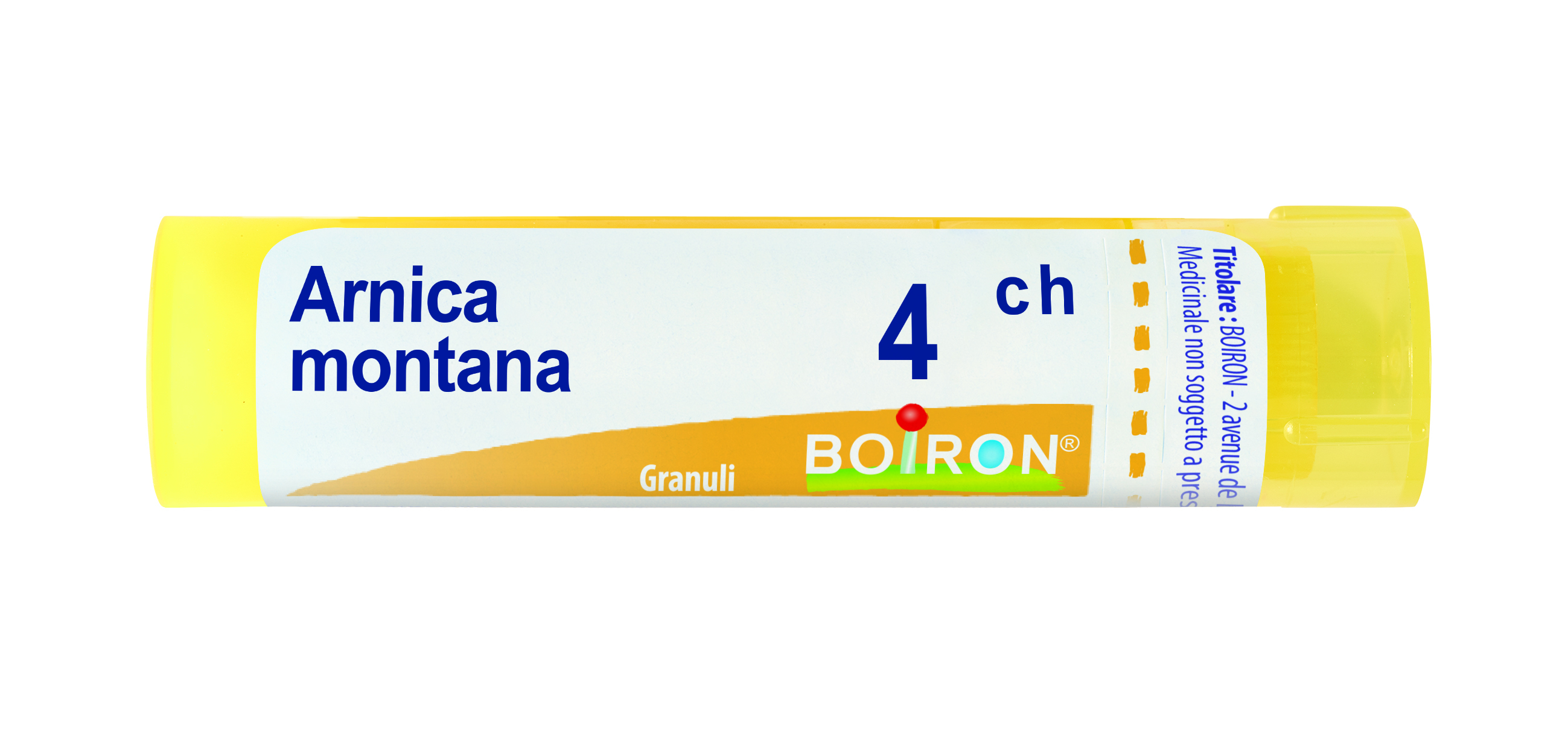 ARNICA MONTANA 4CH GR BO