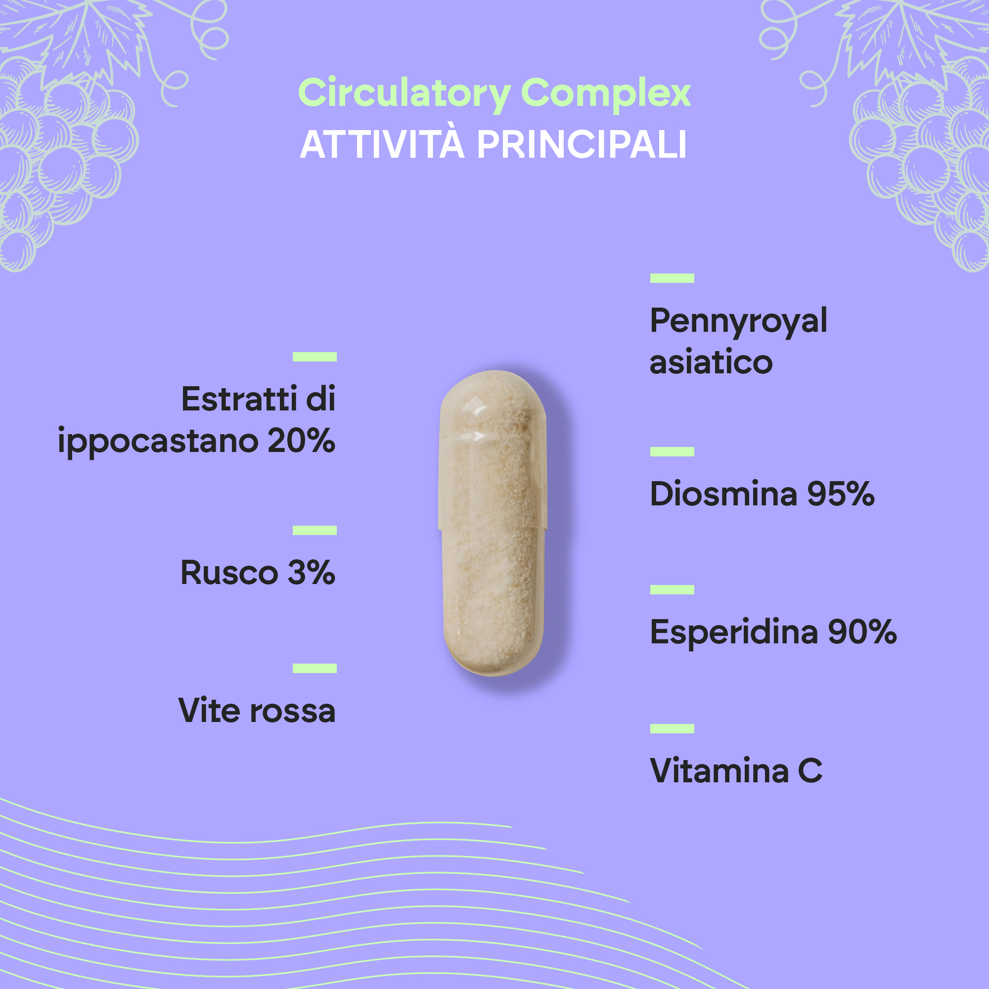 Nutralie Circulatory Complex 60 Capsule - Integratore Per Il Microcircolo