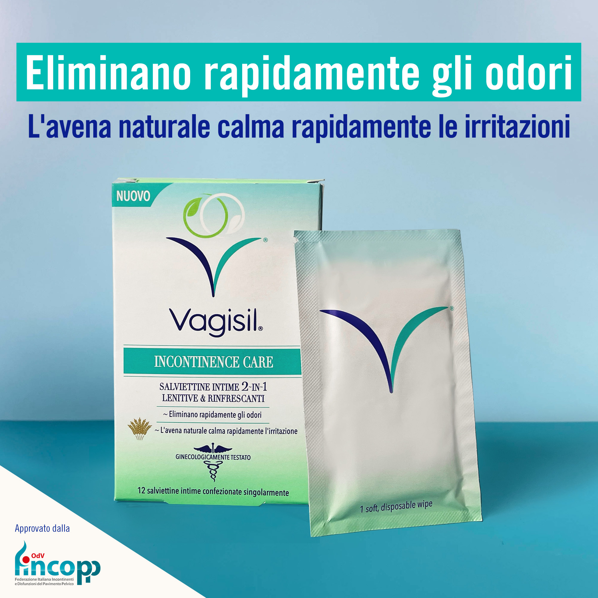 VAGISIL INCONTINENCE C SALV IN