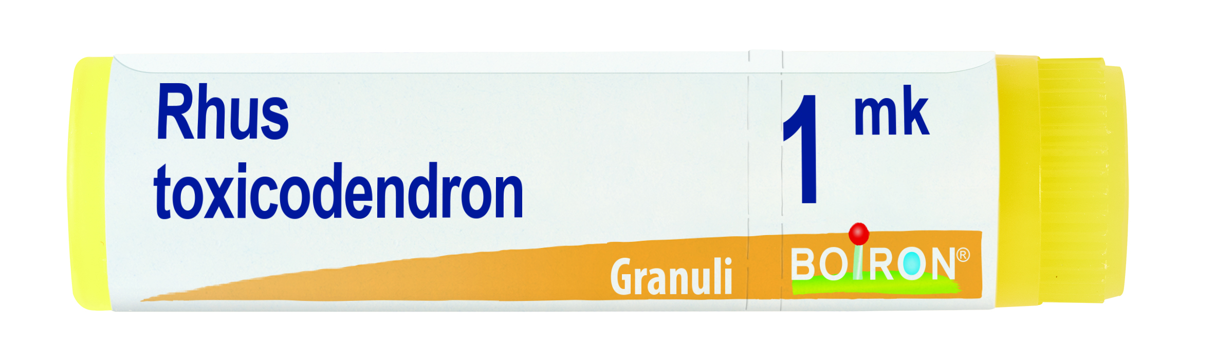 RHUS TOXICODENDRON*1000K GR 1G