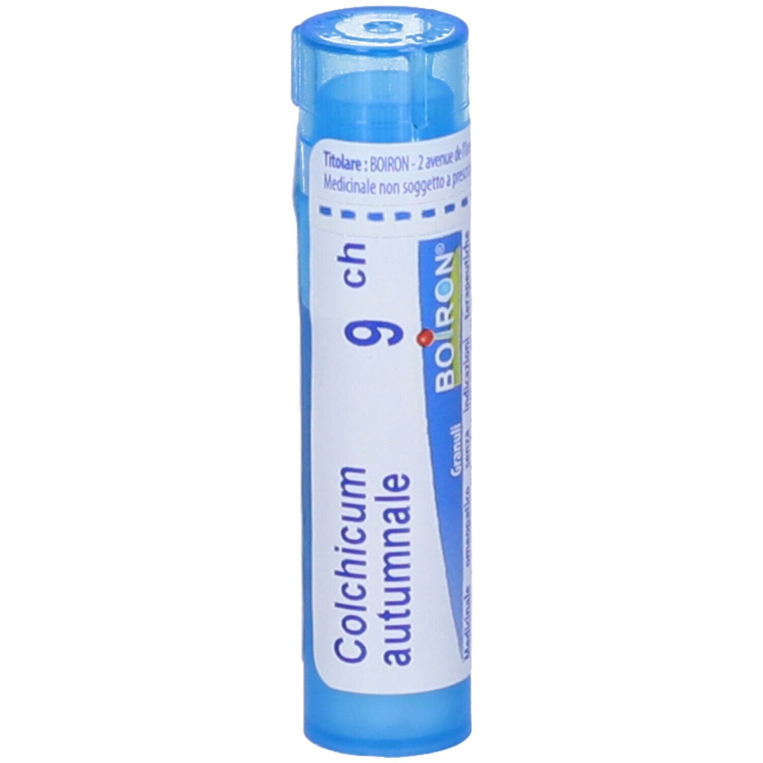 COLCHICUM AUT BOI*9CH GR 4G