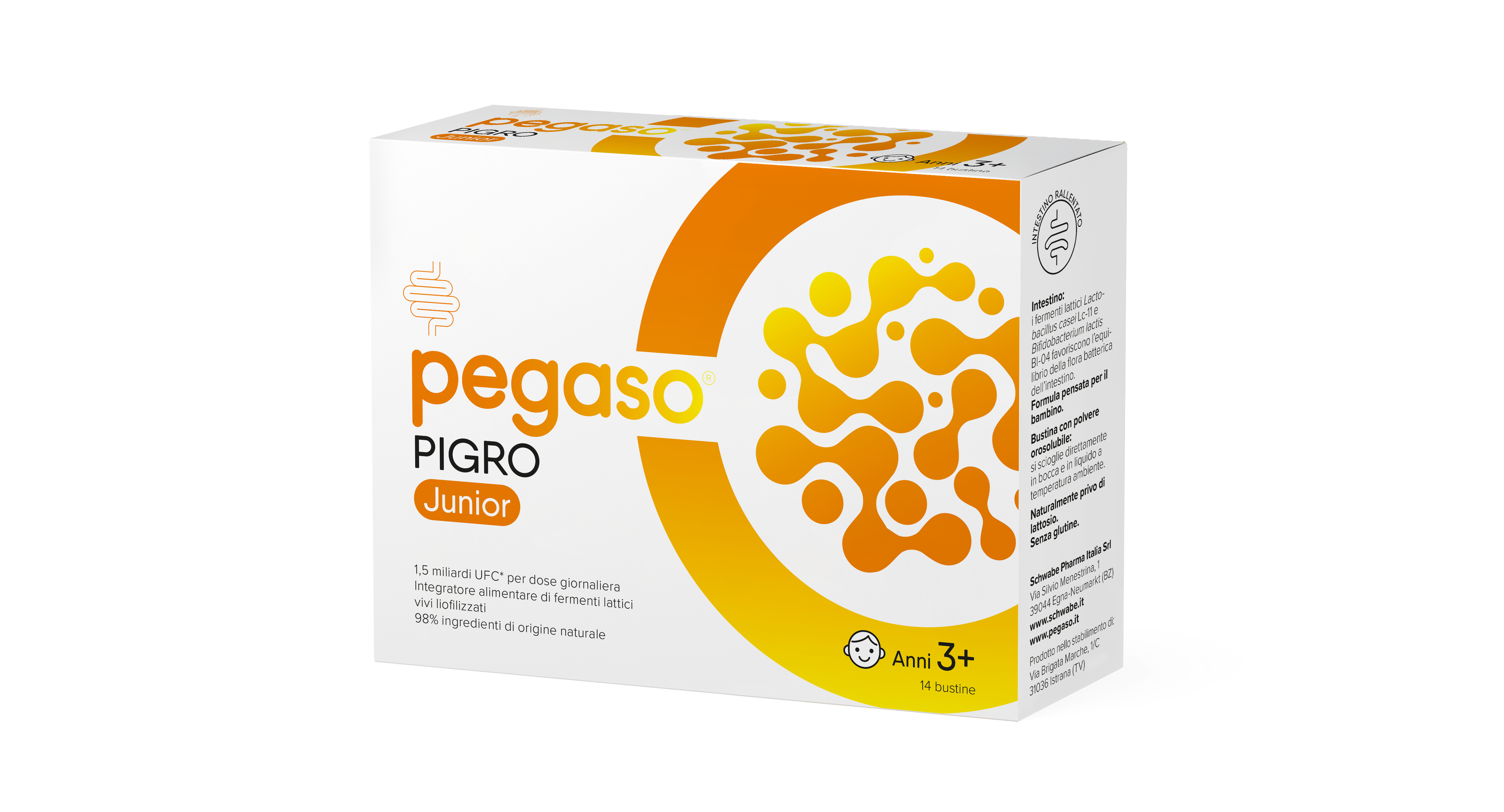 PEGASO AXIDOPHILUS J 14 Bust.E