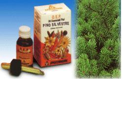 Specchiasol O.E.P. Olio Essenziale Puro Pino Silvestre 10 ml