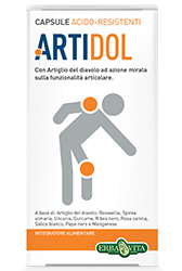 Erba Vita Artidol Gel Lenitivo 100 ml