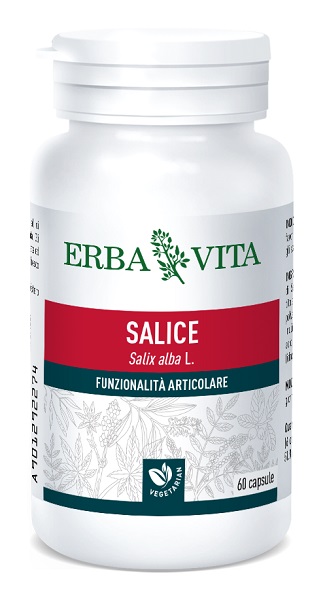 SALICE 60 Cps 450mg Erba Vita