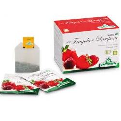 Specchiasol Infuso Bio Gusto Fragola E Lampone 20 Bustine