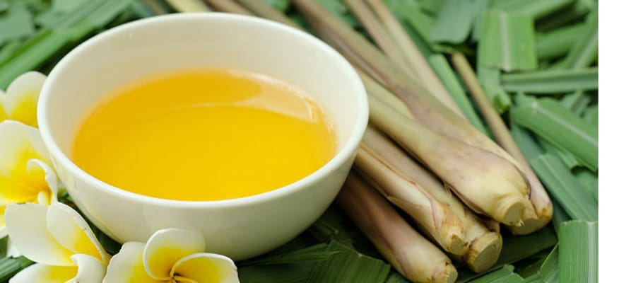 Arrivano le zanzare!