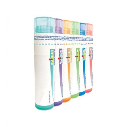 BO.PULSATILLA*XMK DU  1G